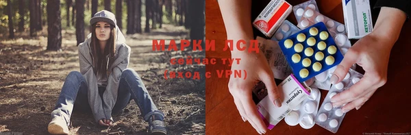 МДПВ Алзамай