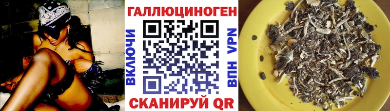 Псилоцибиновые грибы Magic Shrooms  Купить закладки  Бирюч 